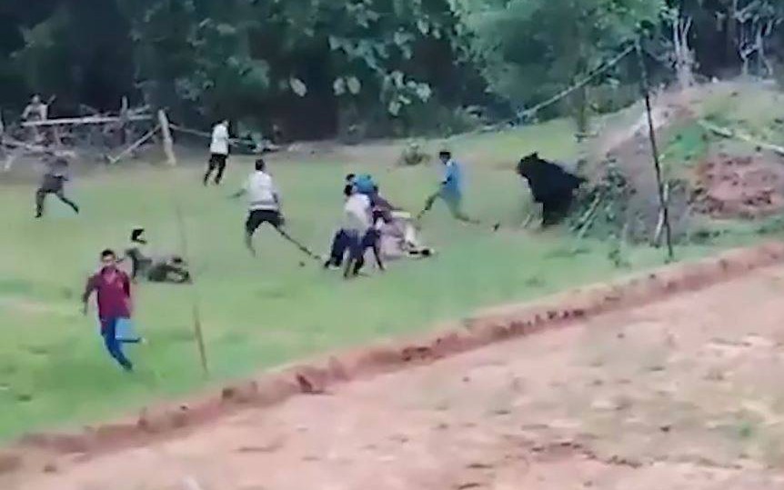 Nhìn lên cột điện, người dân bất ngờ chứng kiến cảnh tượng "nổi da gà" - Ảnh 1.