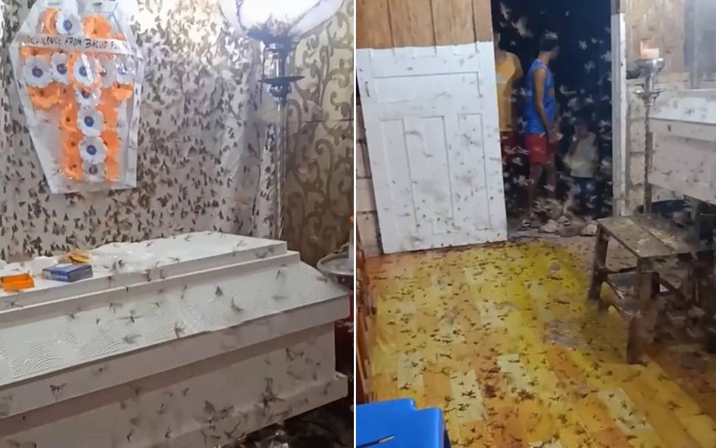 Đang tổ chức đám tang, người nhà bỗng thấy cảnh tượng "nổi da gà" trước mắt - Ảnh 3.