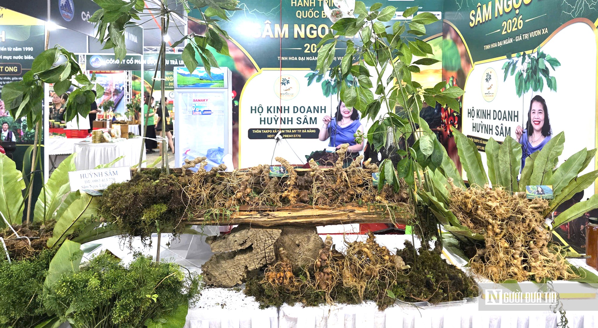 Đà Nẵng lý giải vì sao sâm Ngọc Linh chưa bứt phá ở thị trường quốc tế? - Ảnh 5.
