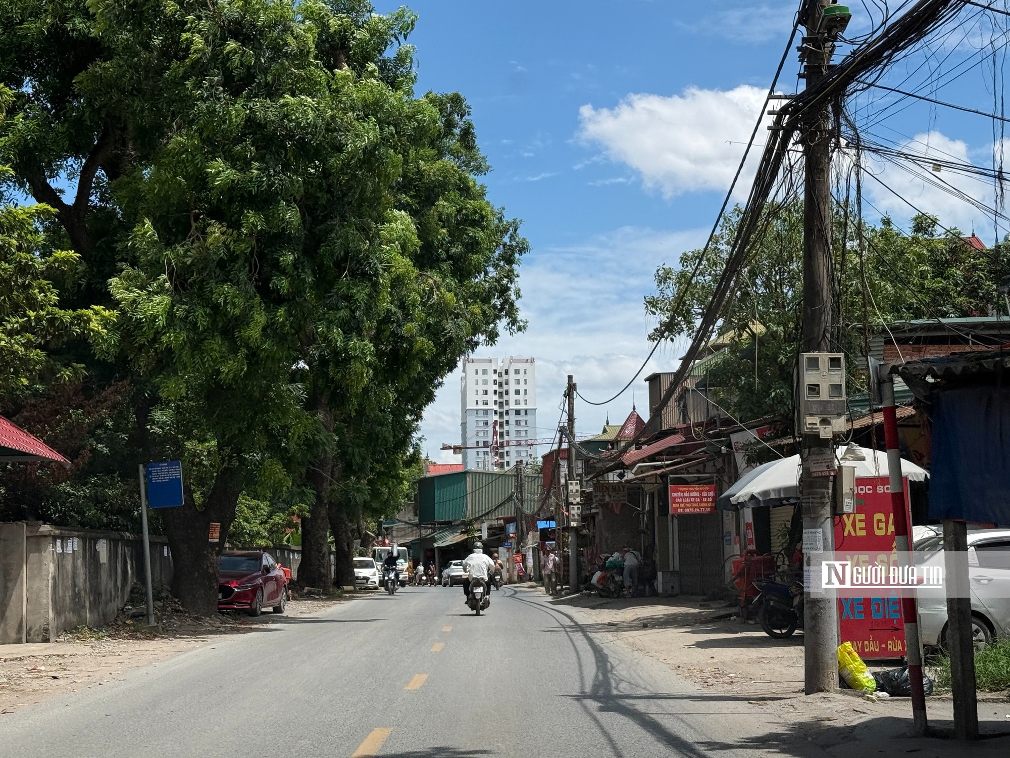 Hà Nội chặt hạ hàng cây cổ thụ để mở rộng tuyến đường hơn 3.000 tỷ đồng- Ảnh 13.