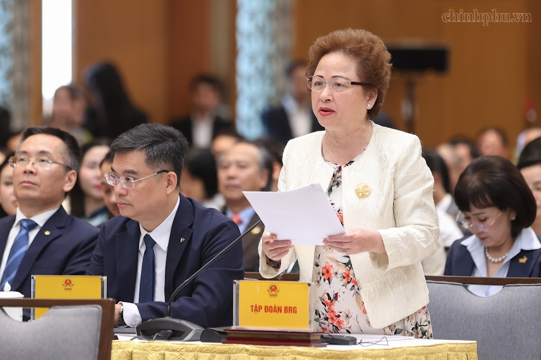 Loạt kiến nghị của doanh nghiệp tại cuộc gặp Thường trực Chính phủ khóa mới - Ảnh 4.