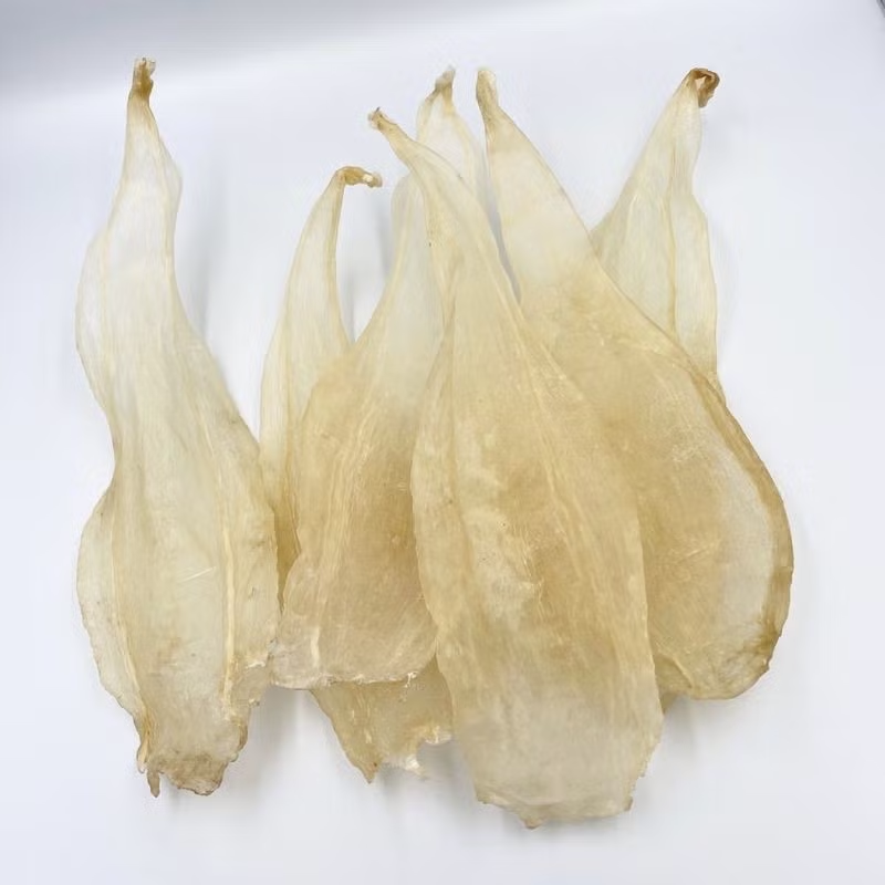 Loài cá tiền tỷ quý hiếm bậc nhất ở Việt Nam, được giới nhà giàu khắp nơi 