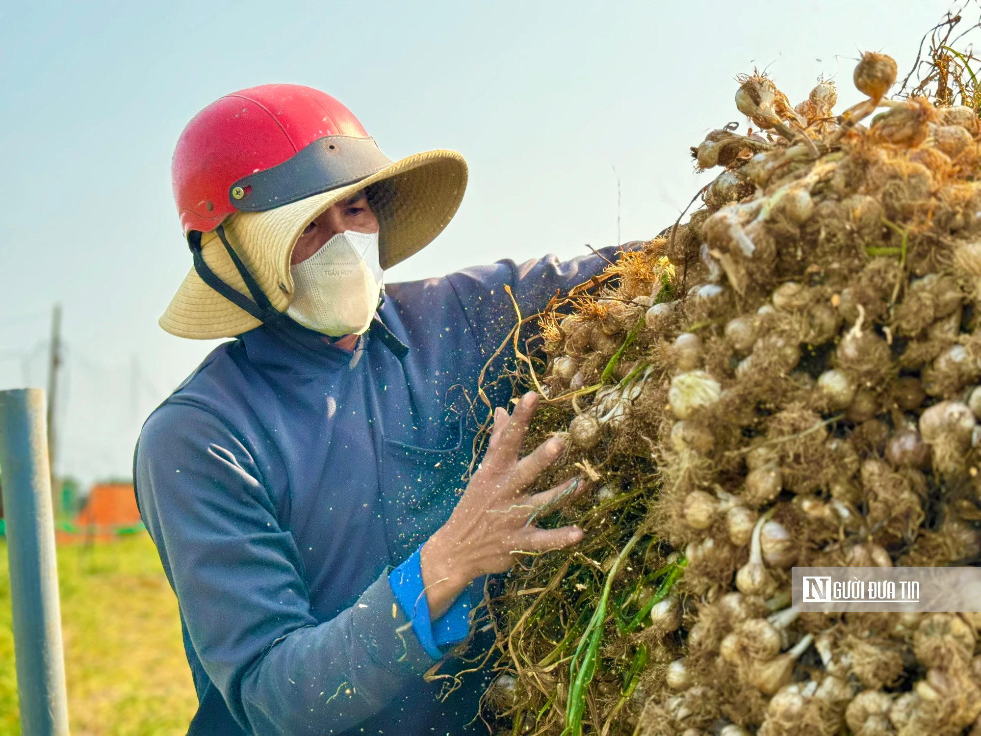 Nhiều doanh nghiệp Singapore muốn đầu tư khu c&ocirc;ng nghiệp v&agrave; v&ugrave;ng nguy&ecirc;n liệu tại Quảng Ng&atilde;i- Ảnh 7.