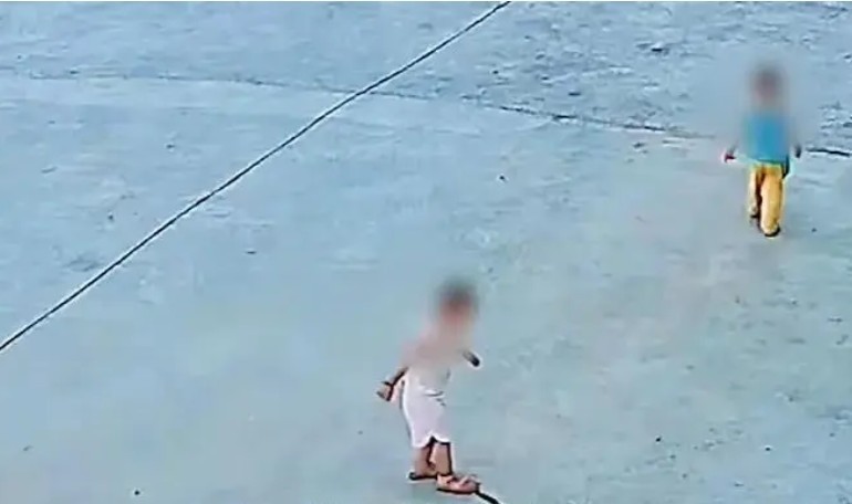 Hai đứa trẻ vô tình giẫm trúng rắn hổ mang và cái kết - Ảnh 2.
