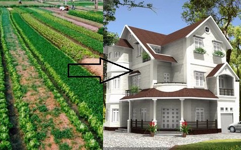 Trứng có đốm máu trên lòng đỏ, là hiện tượng gì, có nên ăn? - Ảnh 2.