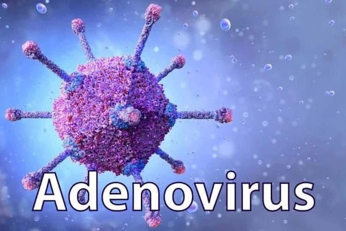 Virus Adeno gia tăng ở trẻ, Bộ Y tế khuyến cáo cách phòng bệnh - Ảnh 1.