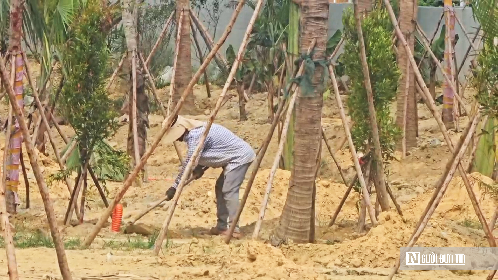 Lộ diện h&igrave;nh h&agrave;i "khu rừng nhiệt đới" nh&acirc;n tạo b&ecirc;n d&ograve;ng s&ocirc;ng Hương- Ảnh 2.