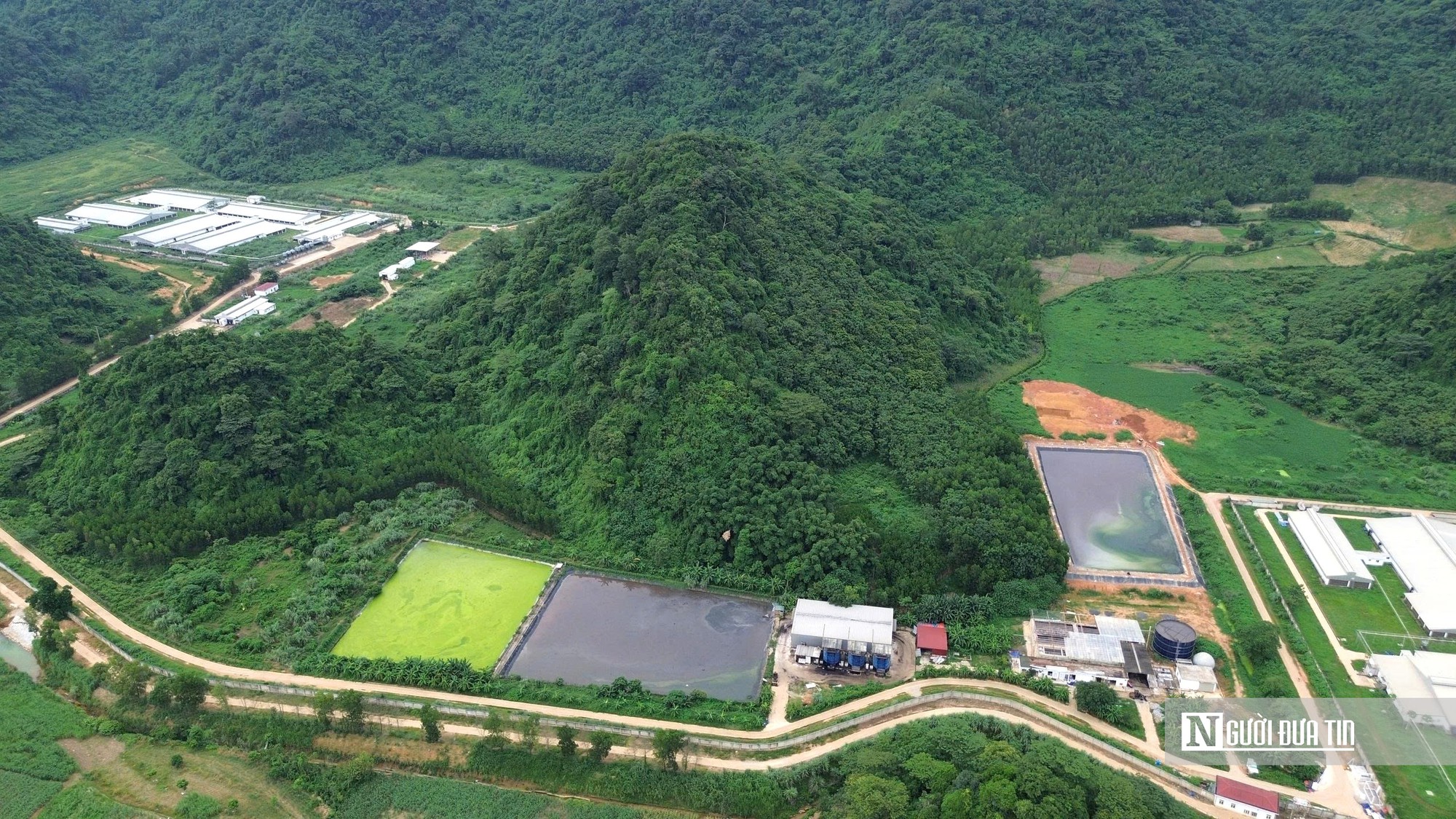 Vụ 5 công an tử vong ở trại lợn: 3 công ty chăn nuôi tại xã đều vi phạm về môi trường- Ảnh 6.