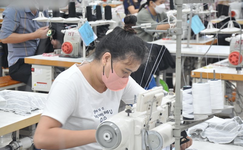 Từ 10/9, doanh nghiệp không làm đúng việc này sẽ đối mặt mức phạt hàng trăm triệu đồng - Ảnh 1.