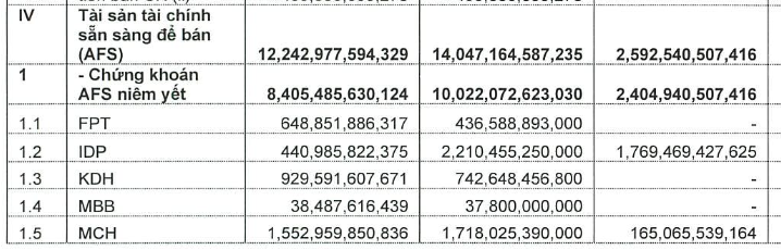 Bên trong danh mục đầu tư hơn 14.000 tỷ đồng của Chứng khoán Vietcap có những gì?- Ảnh 1.