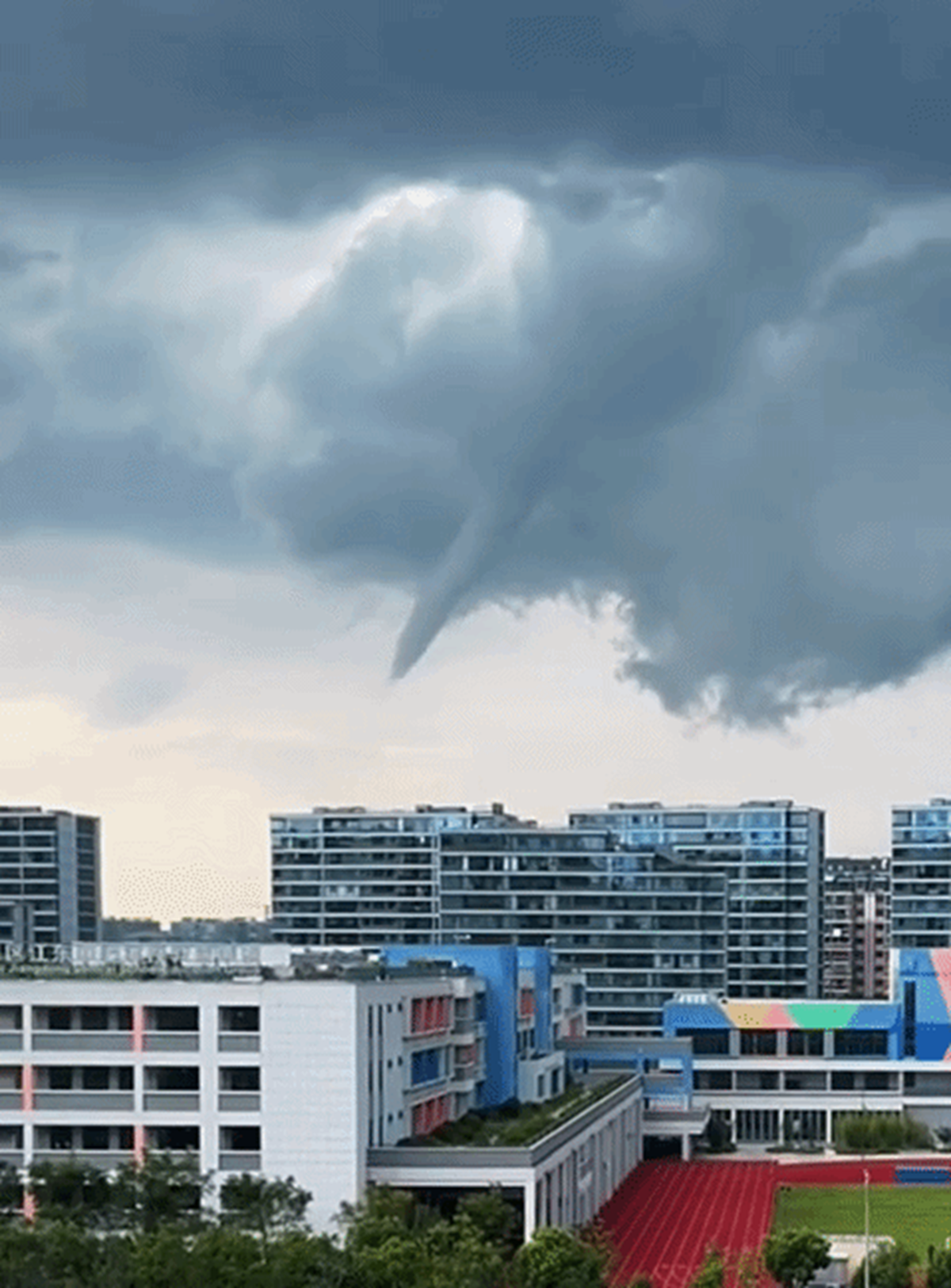 Đang đi ngoài đường, người dân bỗng thấy cảnh tượng lạ 
