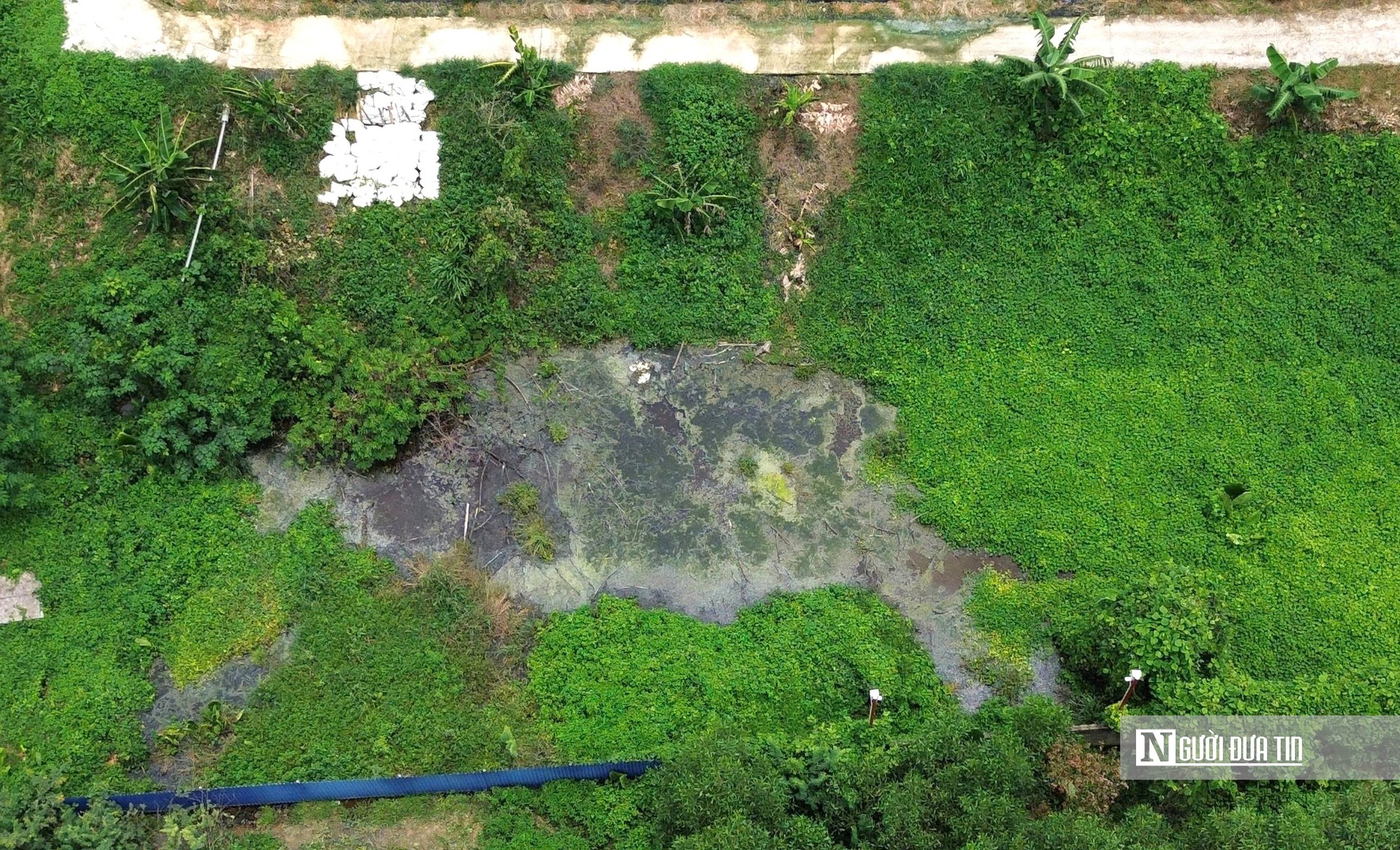 Một xã ở Thanh Hóa