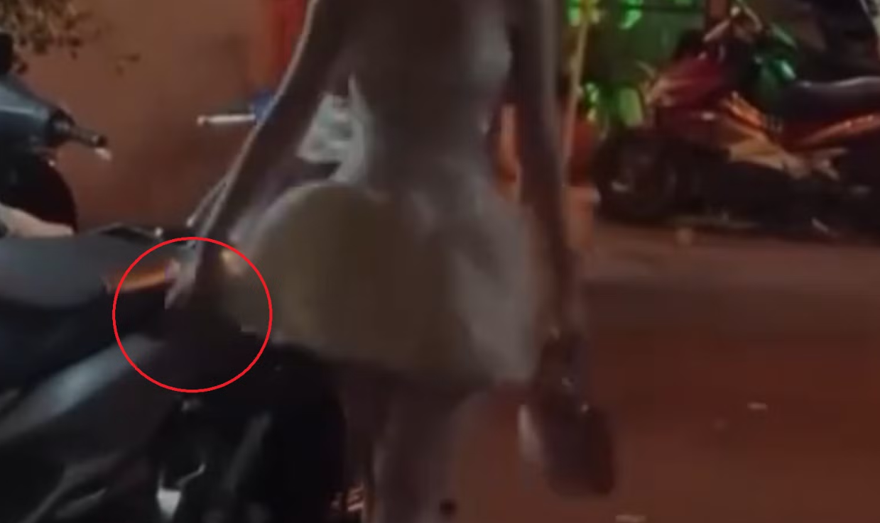 Cô gái ném gạch vào căn nhà ở trung tâm TP HCM - Ảnh 4.