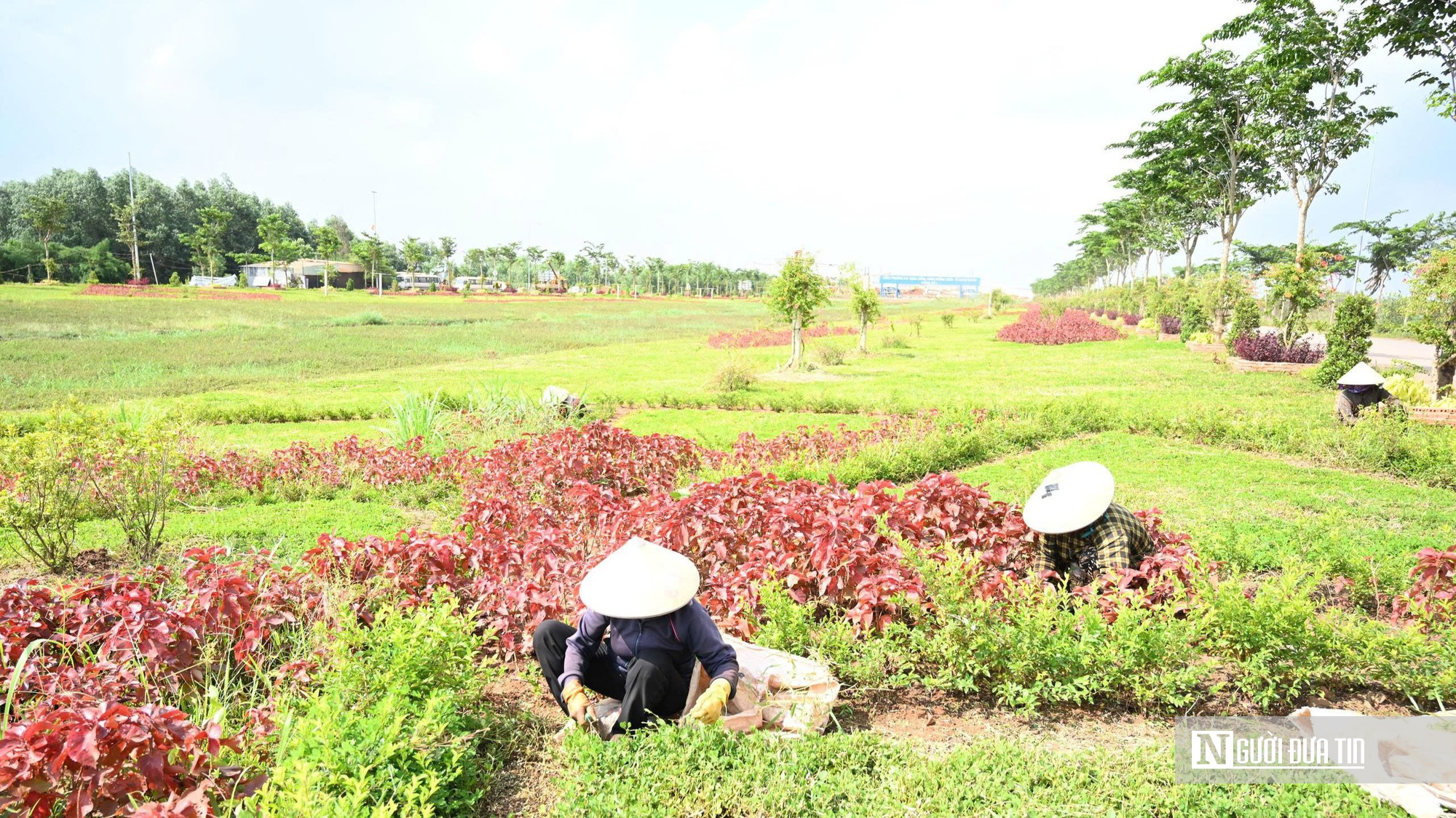 Đường v&agrave;o s&acirc;n bay Long Th&agrave;nh mang diện mạo mới ng&agrave;y về đ&iacute;ch- Ảnh 8.