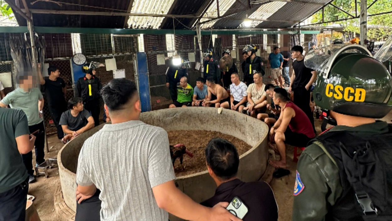Triệt xóa điểm cá cược đá gà quy mô lớn ở Lạng Sơn - Ảnh 1.