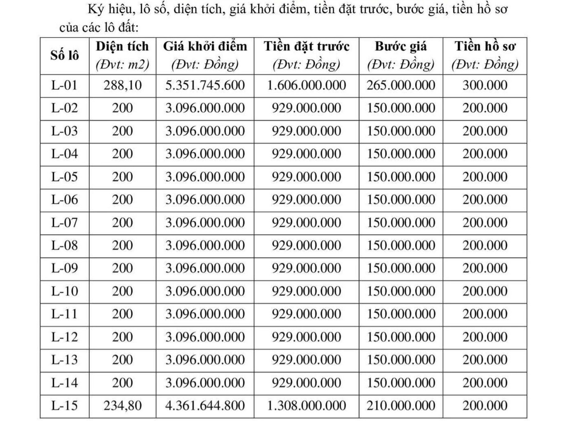 Hà Tĩnh đấu giá đất nông thôn khởi điểm hơn 3 tỷ đồng/lô- Ảnh 2.
