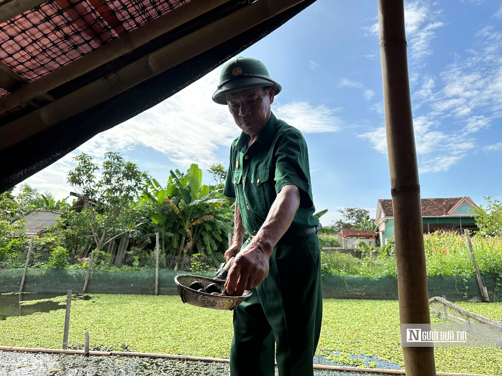 Cựu chiến binh quê Bác làm kinh tế thành công từ mô hình nuôi ốc bươu đen- Ảnh 2.