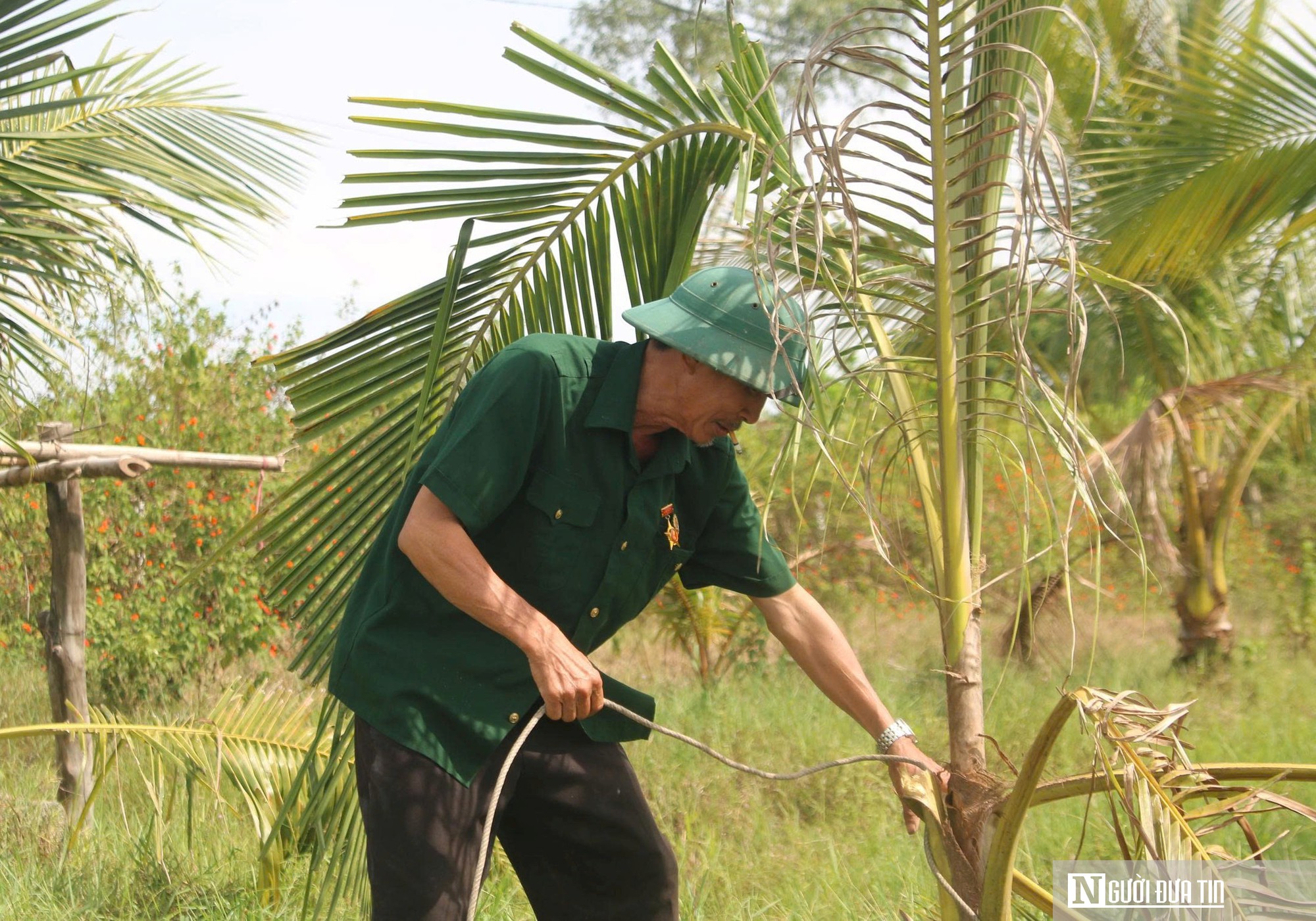 Cựu chiến binh vượt thương tật, làm giàu trên vùng đất khó- Ảnh 4.