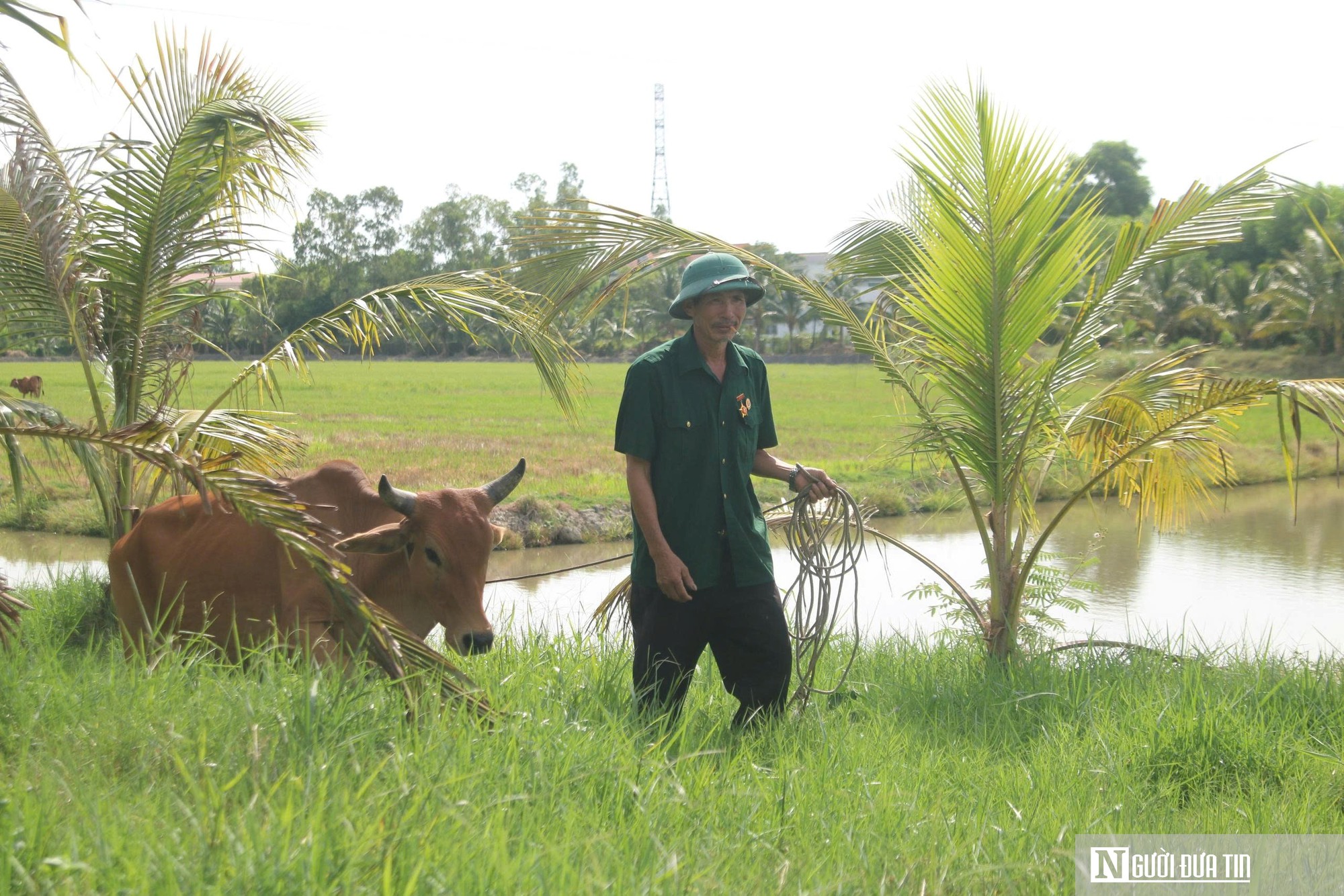 Cựu chiến binh vượt thương tật, làm giàu trên vùng đất khó- Ảnh 2.