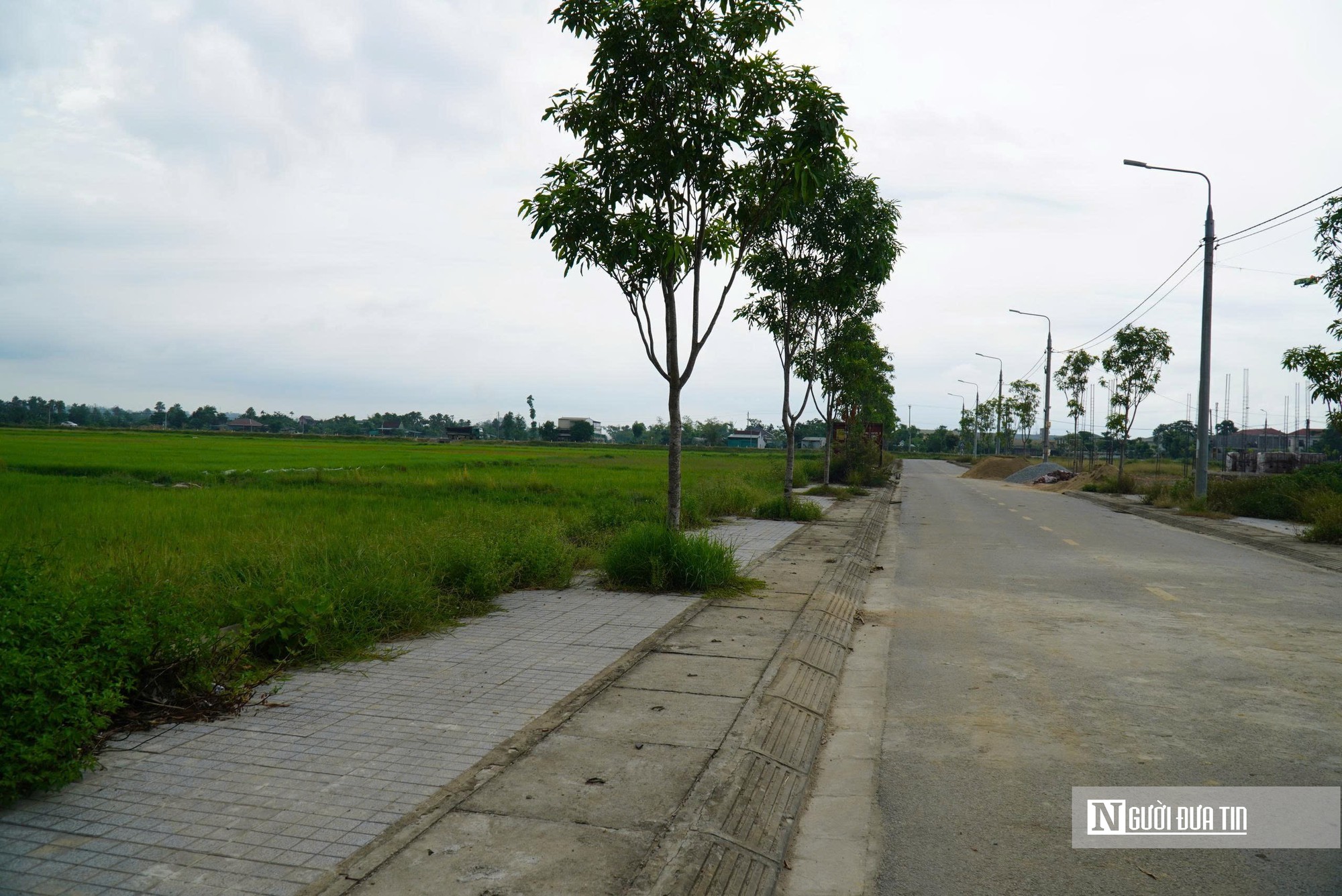 H&agrave; Tĩnh đấu gi&aacute; đất n&ocirc;ng th&ocirc;n khởi điểm hơn 3 tỷ đồng/l&ocirc;- Ảnh 1.