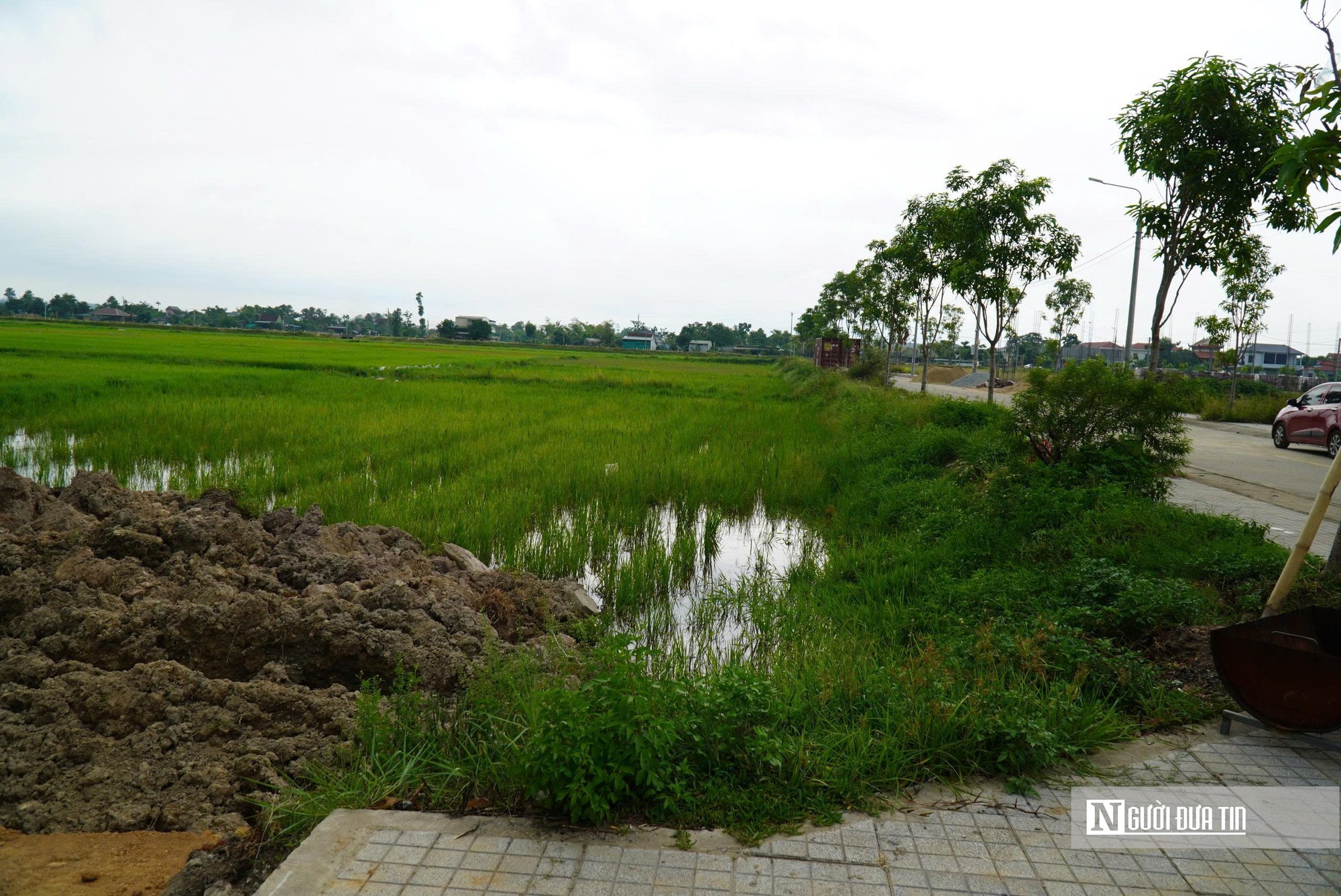 H&agrave; Tĩnh đấu gi&aacute; đất n&ocirc;ng th&ocirc;n khởi điểm hơn 3 tỷ đồng/l&ocirc;- Ảnh 4.
