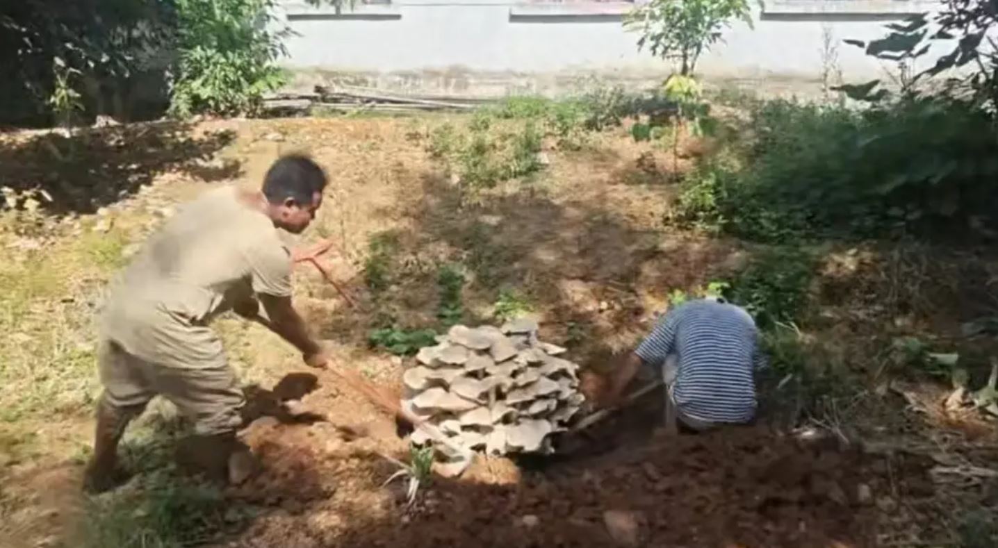 Cây nấm khổng lồ nặng gần 55kg xuất hiện giữa rừng, người dân ùn ùn kéo tới xem - Ảnh 1.