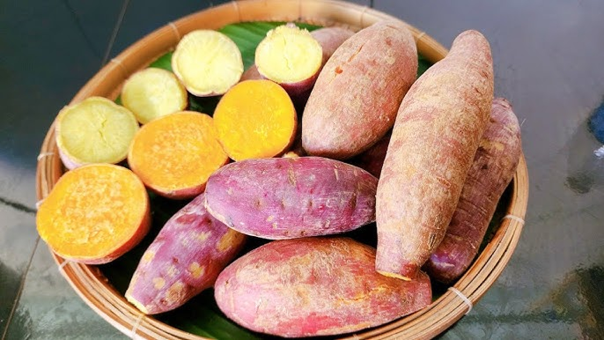 Ăn khoai lang mỗi sáng 3 tháng, người phụ nữ 30 tuổi bất ngờ khi nhận kết quả khám gan - Ảnh 1.