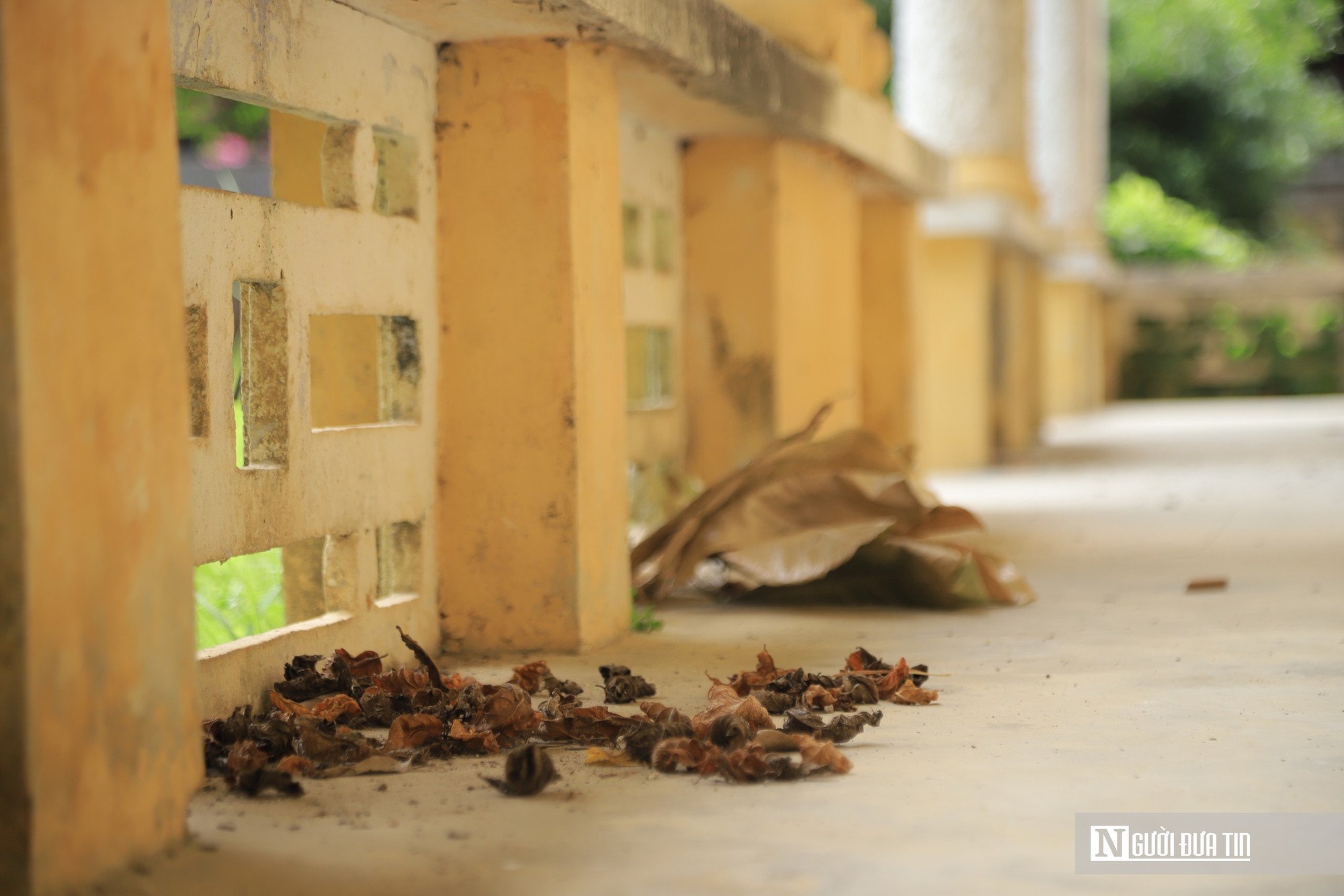Hiện trạng ngôi nhà của Hoàng Thái hậu cuối cùng triều Nguyễn chờ ngày "hồi sinh"- Ảnh 12.