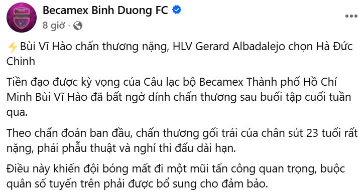 Tuyển thủ Việt Nam dính chấn thương nặng, nguy cơ nghỉ thi đấu dài hạn - Ảnh 1.