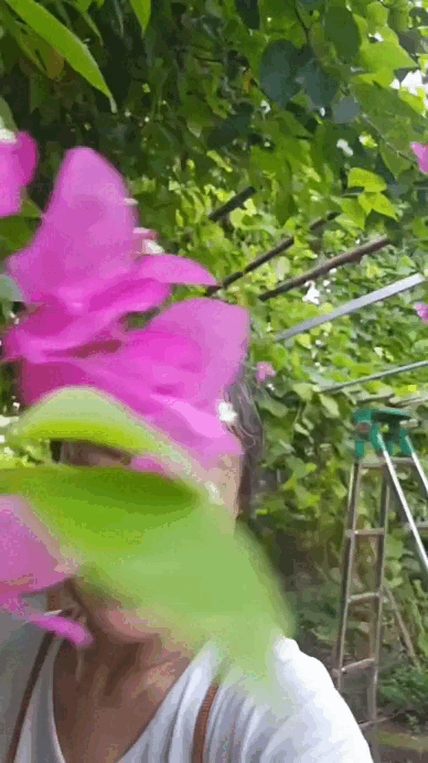 Cuộc sống điền viên bên khu vườn hàng nghìn m² xanh mát của diễn viên Tú Oanh - Ảnh 4.