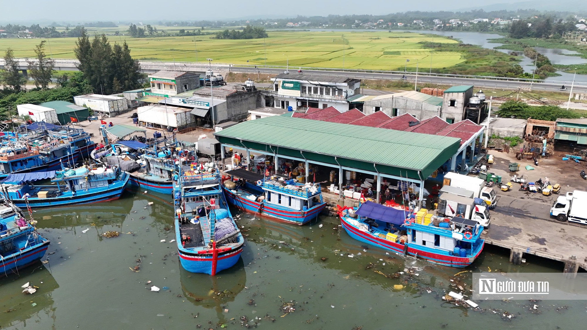 Giá dầu giảm, ngư dân Quảng Ngãi mạnh dạn vươn khơi- Ảnh 1.
