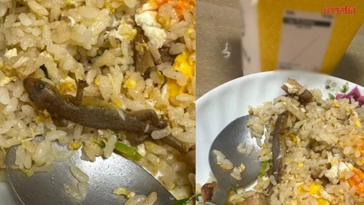 Đang ăn cơm rang, cô gái sốc thấy thứ
