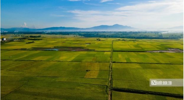 Từ ngày 31/8, tự ý chuyển đất trồng lúa sang đất ở bị phạt nặng- Ảnh 1.