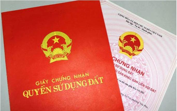 Thí điểm tổ chức tuyến phố đi bộ đầu tiên tại Cầu Giấy- Ảnh 2.