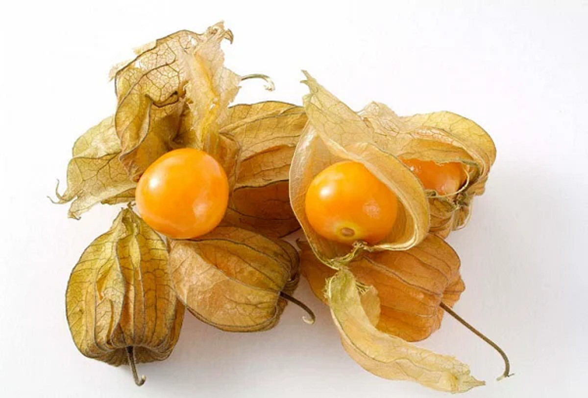Loại quả dại ở Việt Nam 