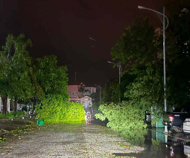 B&atilde;o số 1 ho&agrave;nh h&agrave;nh M&oacute;ng C&aacute;i suốt đ&ecirc;m: C&acirc;y đổ, m&aacute;i t&ocirc;n bay, nhiều nơi mất điện - Ảnh 2.