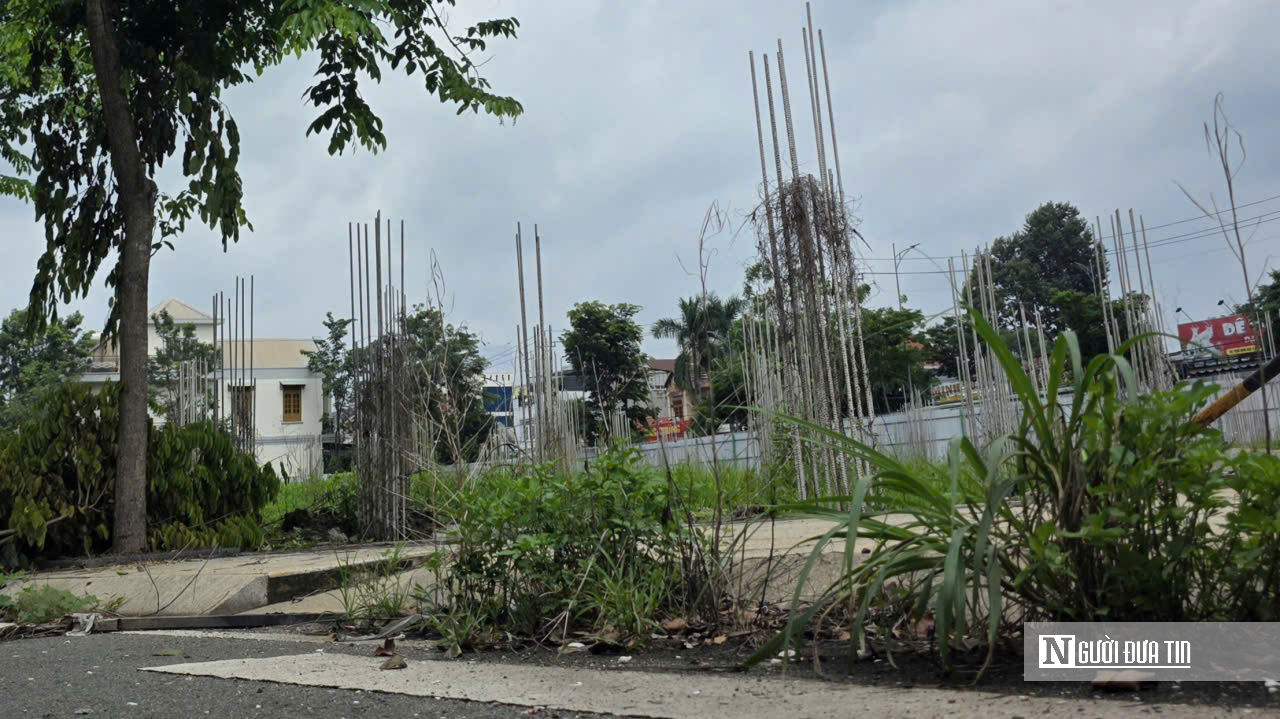 Loạt dự án bất động sản nghìn tỷ ở Tp.Đồng Nai bỏ hoang- Ảnh 5.