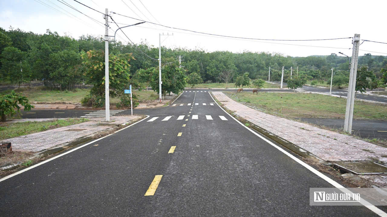 Loạt dự án bất động sản nghìn tỷ ở Tp.Đồng Nai bỏ hoang- Ảnh 12.