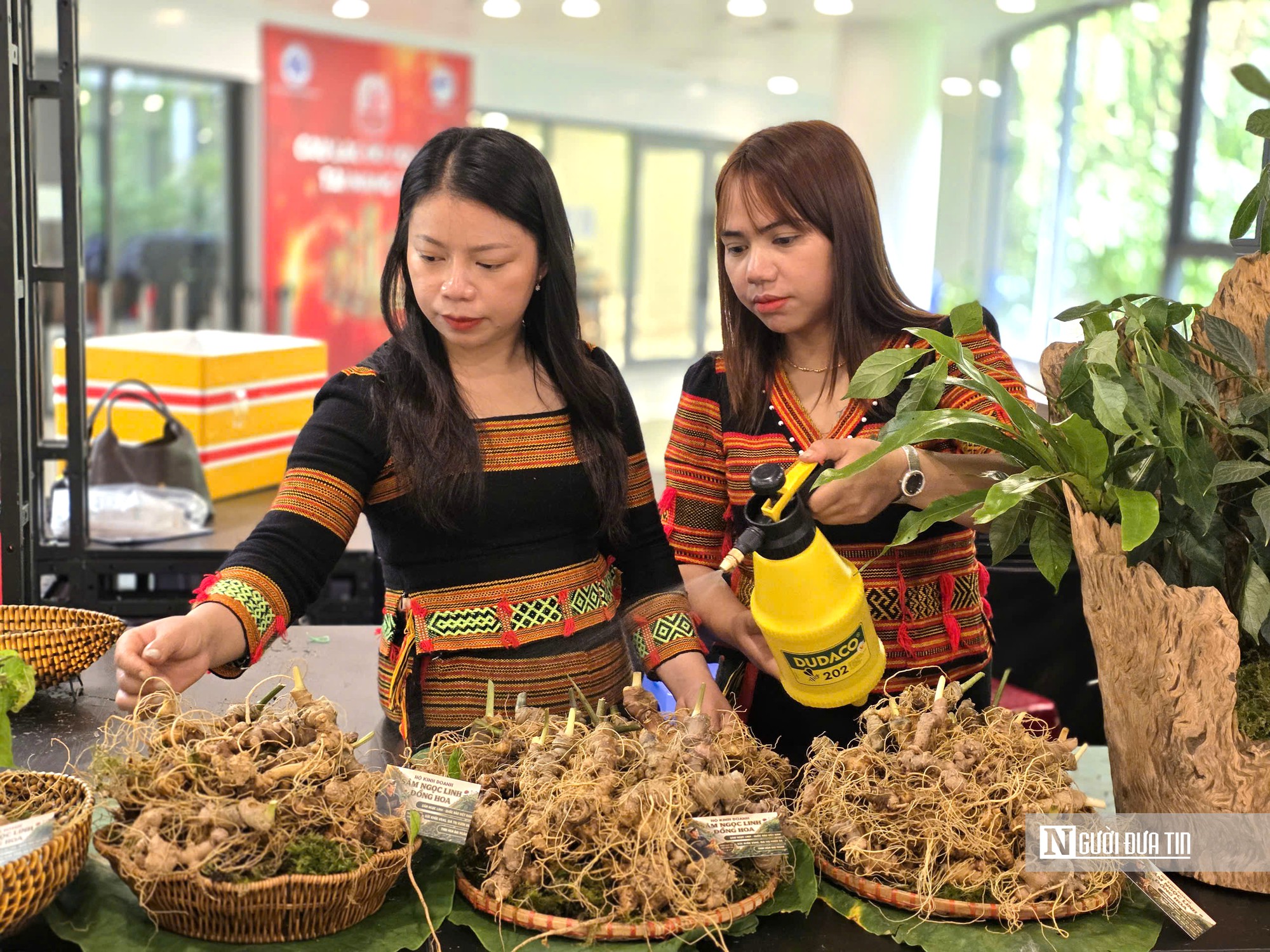 S&acirc;m Ngọc Linh xuống phố, t&igrave;m đường đi xa- Ảnh 1.