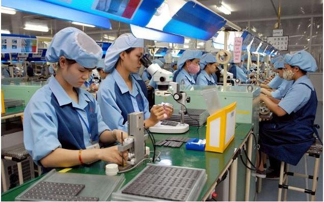 Không tiêm phòng dại, thả chó không rọ mõm: Mức phạt mới tăng gấp nhiều lần - Ảnh 2.