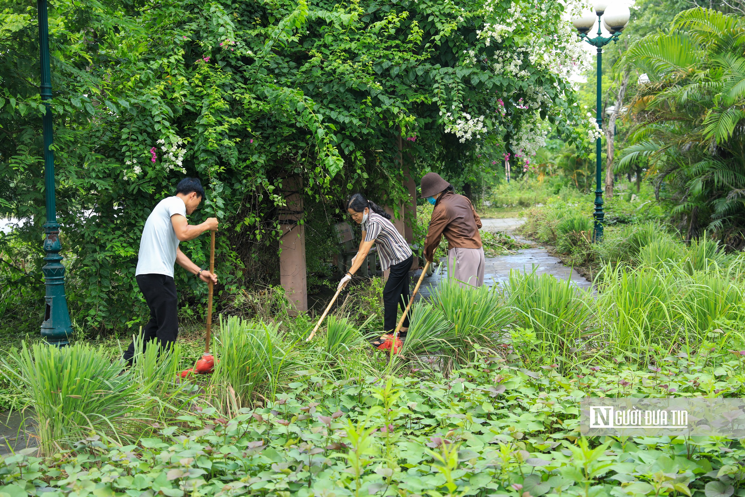 Người dân xã Thư Lâm phấn khởi hưởng ứng chiến dịch vì Thư Lâm phát triển- Ảnh 6.