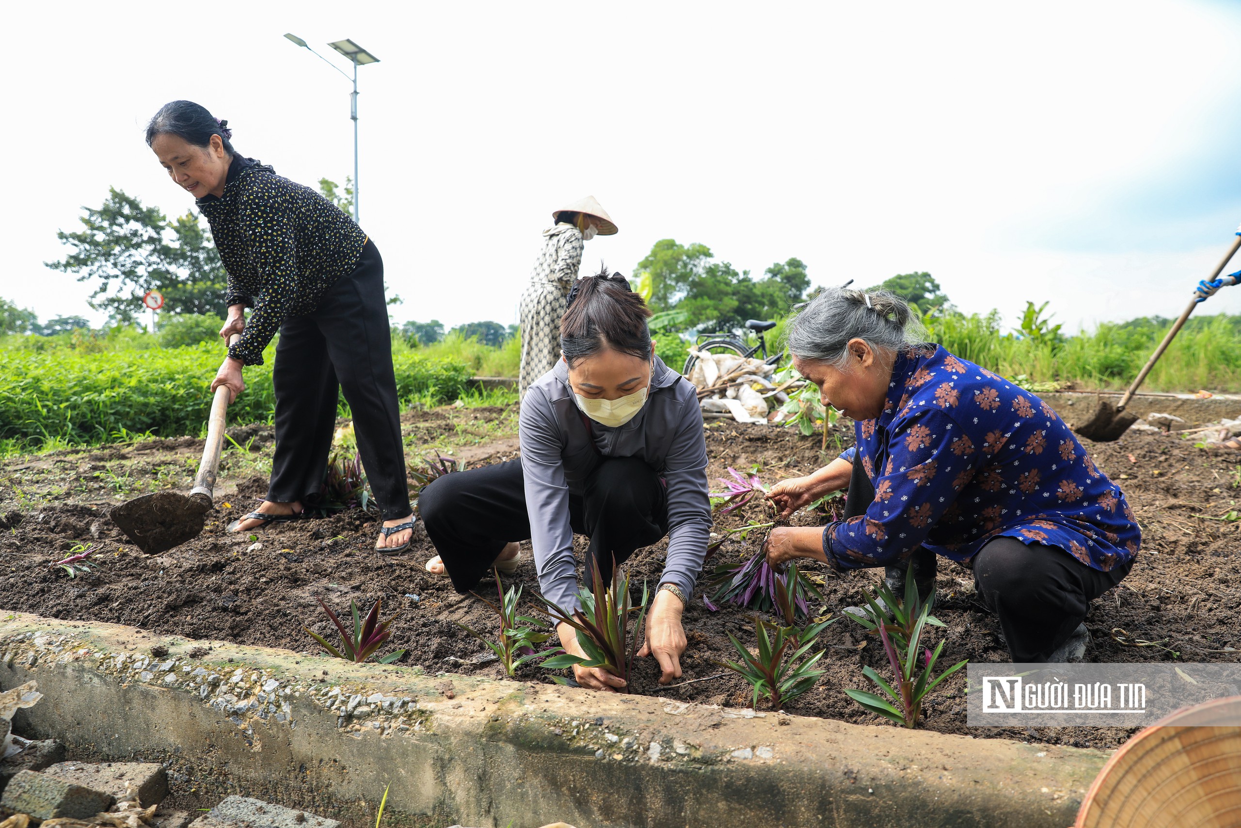 Người dân xã Thư Lâm phấn khởi hưởng ứng chiến dịch vì Thư Lâm phát triển- Ảnh 13.