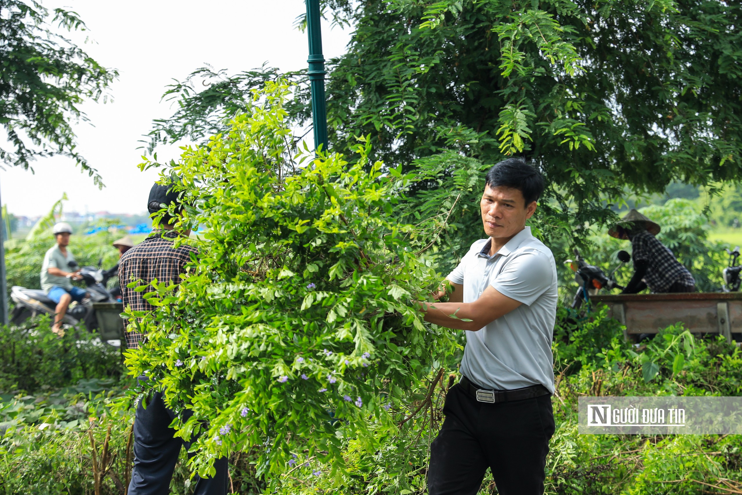 Người dân xã Thư Lâm phấn khởi hưởng ứng chiến dịch vì Thư Lâm phát triển- Ảnh 19.