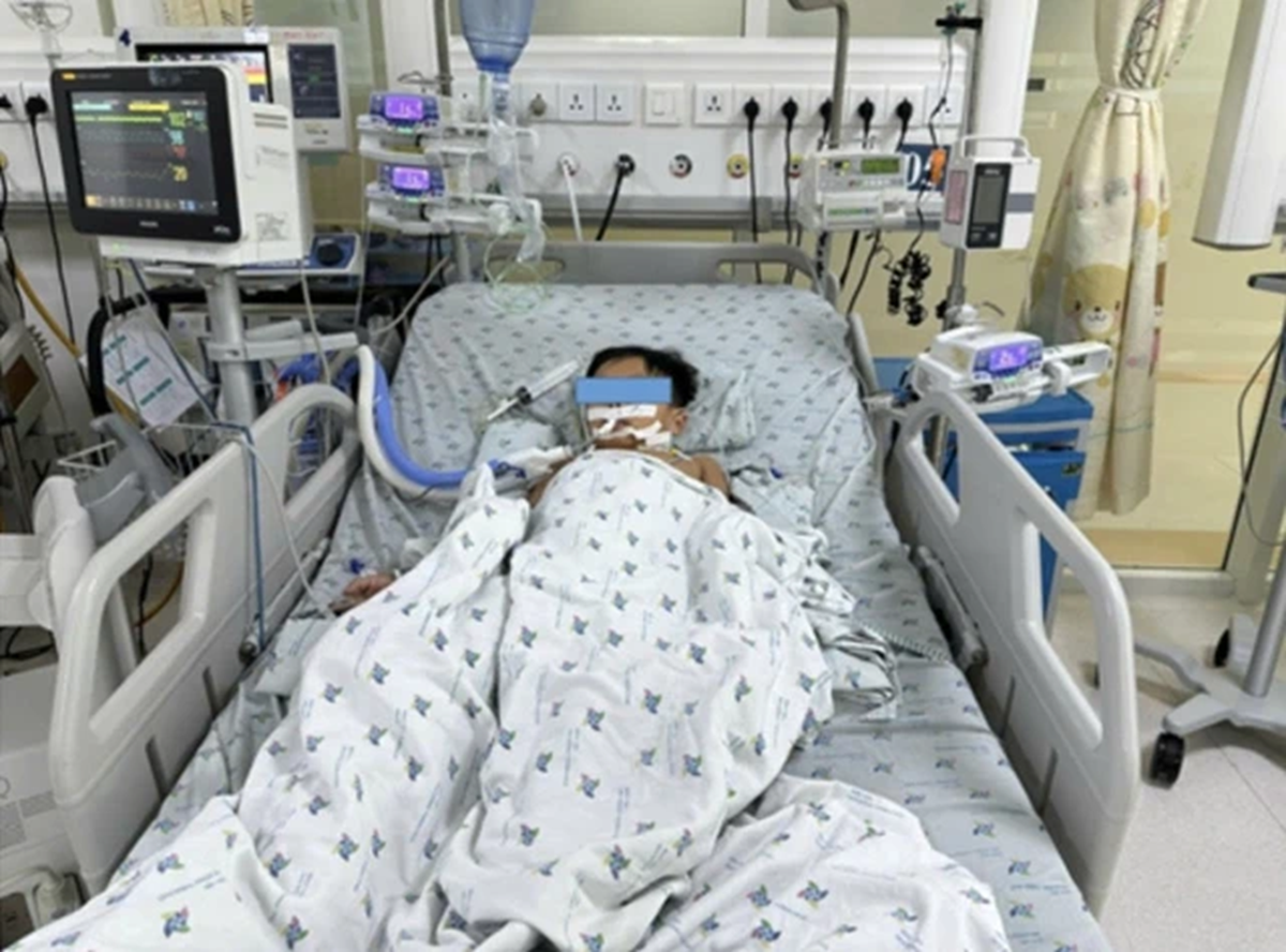 Ăn thịt chuột, ba chị em nguy kịch - Ảnh 1.