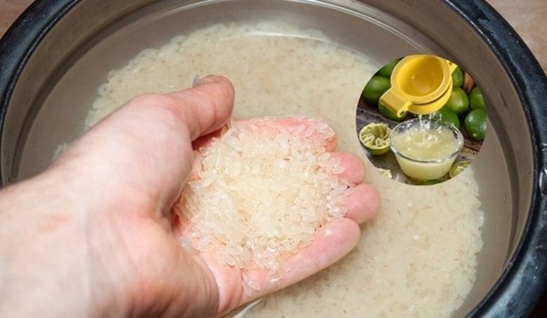 Khi nấu cơm chỉ cần thêm vài giọt nước này, điều bất ngờ sẽ xảy ra khi cơm chín - Ảnh 1.