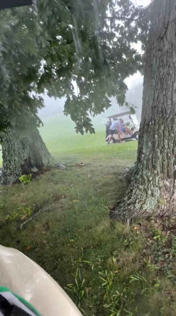 Đứng trú mưa dưới gốc cây, tay golf bị sét đánh trúng - Ảnh 1.