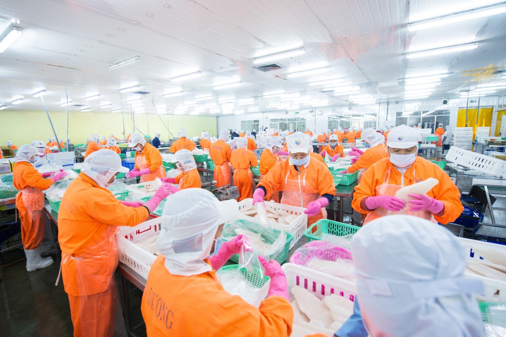 3 lần gom cổ phiếu ANV, lãnh đạo Nam Việt nâng sở hữu lên 1,18% - Ảnh 1.