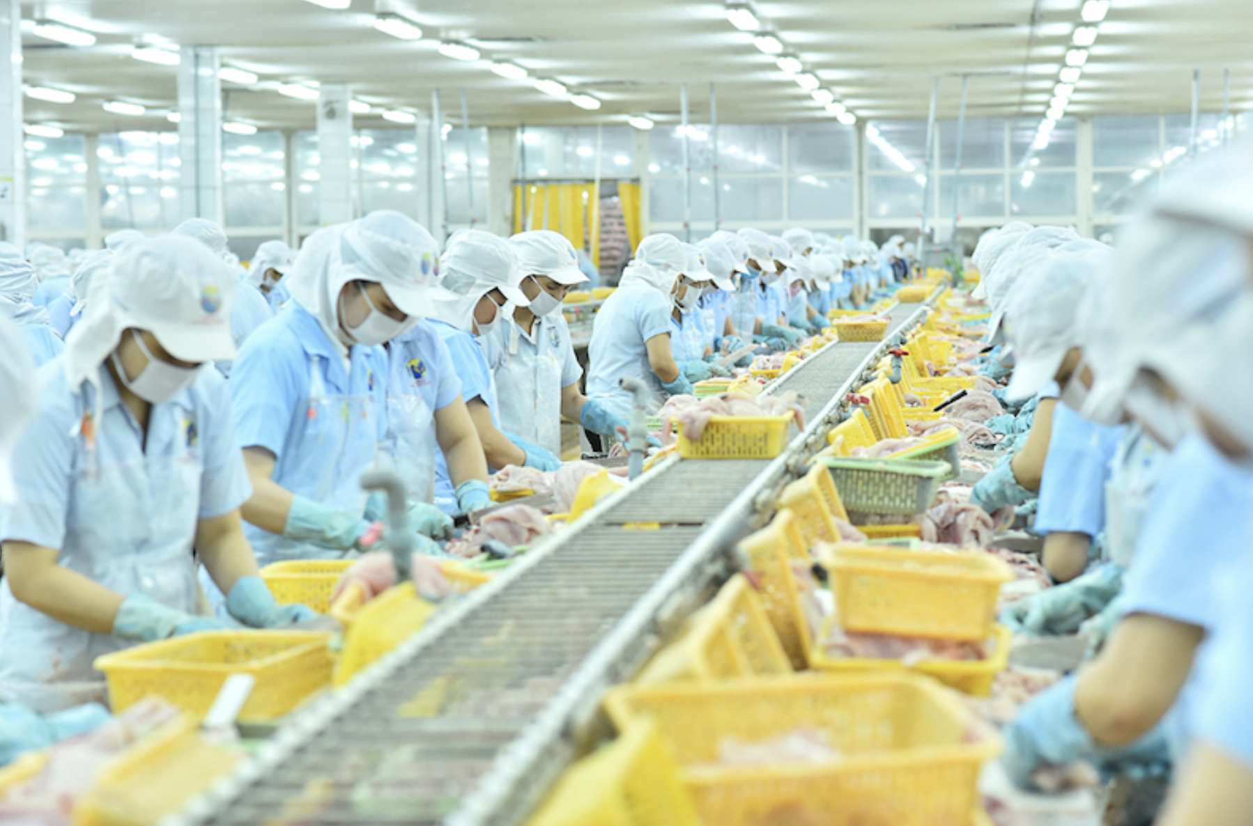 Nam Việt chốt trả cổ tức tiền mặt, gia đình ông Doãn Tới dự kiến nhận gần 180 tỷ đồng- Ảnh 1.