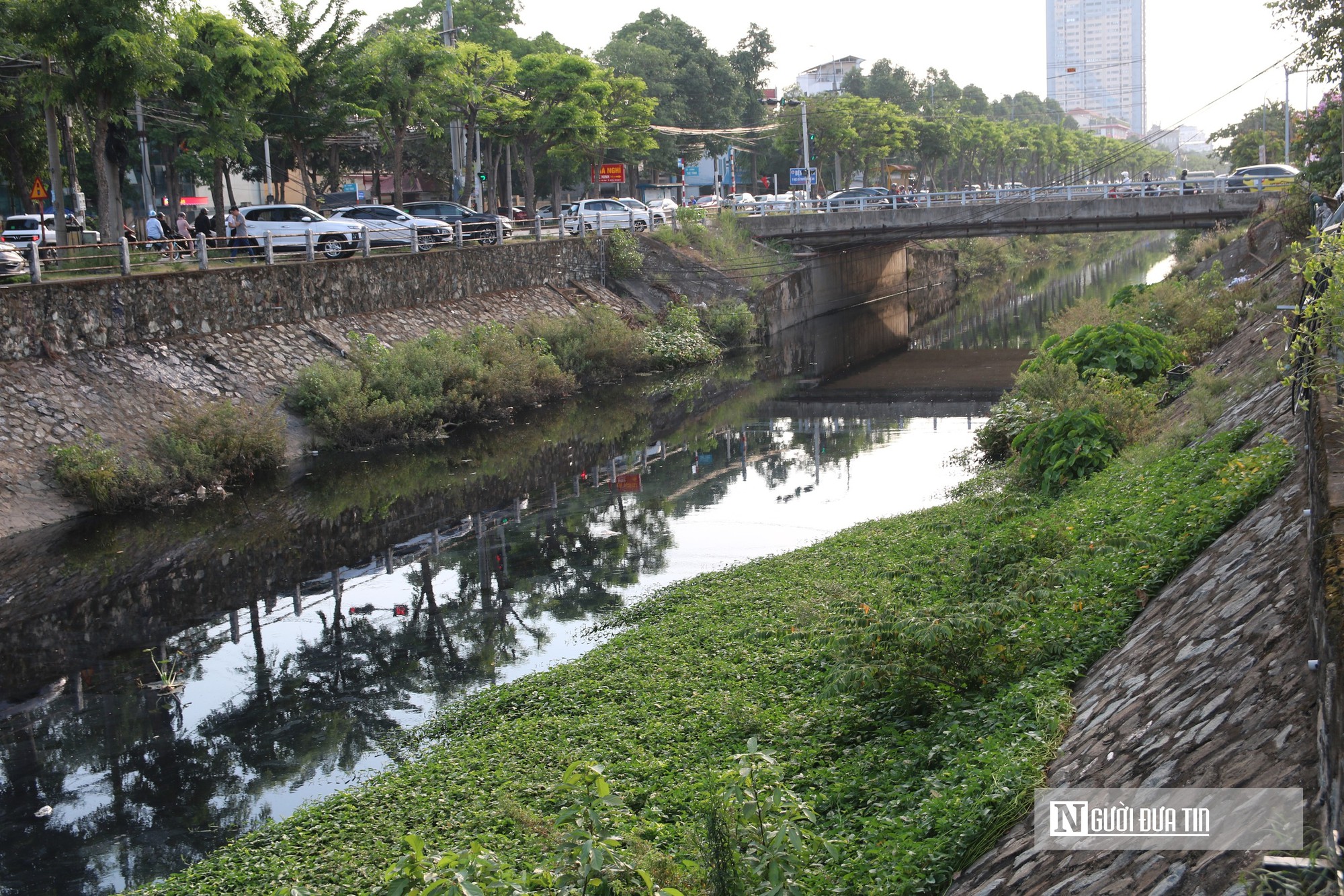 Cận cảnh Kênh Bắc ô nhiễm đen kịt, hôi thối giữa lòng đô thị ở Nghệ An- Ảnh 1.