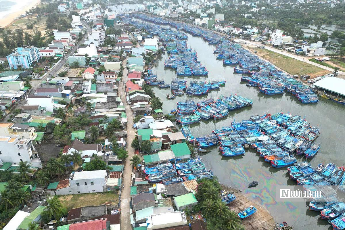 Gỡ "thẻ vàng" IUU: "Thời gian không còn nhiều, chỉ còn cách dốc toàn lực" - Ảnh 5.